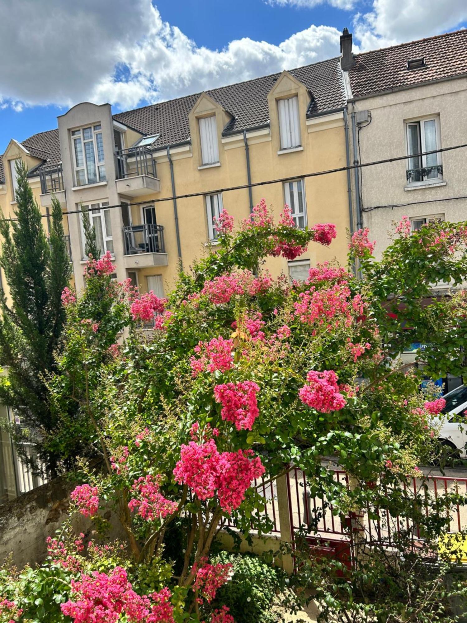F3 Au Grenier D'Une Maison Massy  Zewnętrze zdjęcie